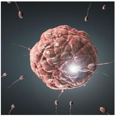 ��ԭ����ע�����,�����z��,�����ί�,