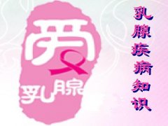 �������ί��ǷN��������